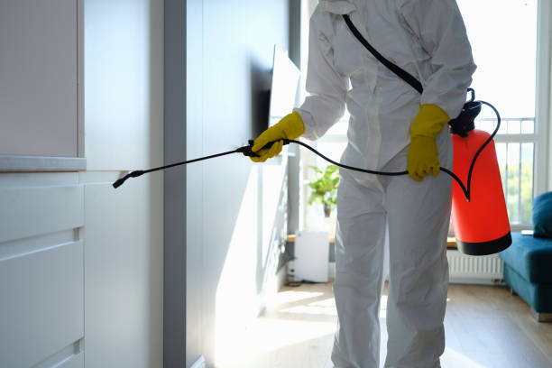 Best Residential Mold Removal  in Lopezville, TX